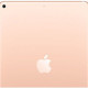 iPad Air 2019 Wi-Fi + LTE, 256gb, Gold (MV1G2, MV0Q2) б/у